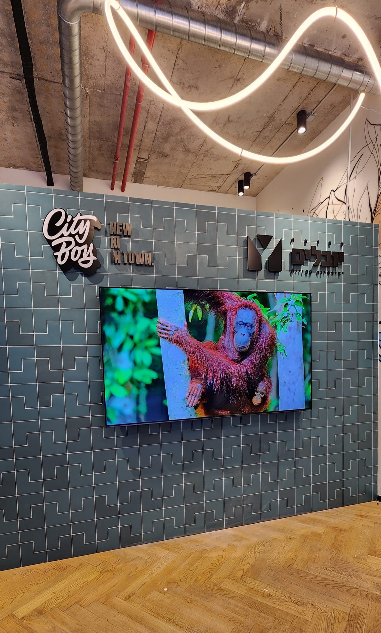 התקנה מסחרית – מסעדה